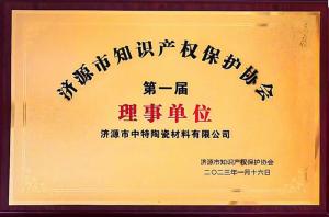 知識產(chǎn)權(quán)保護(hù)協(xié)會理事單位